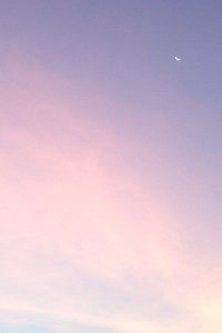 狼队主场告捷，球队士气高涨