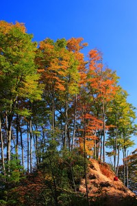 委内瑞拉选手取得男子自由式摔跤银牌