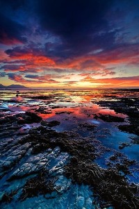 特拉布宁战平对手，保持晋级机会