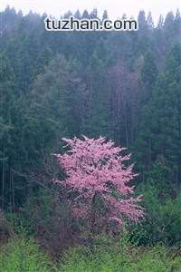 巴拉多利德主帅重整旗鼓，力争保级