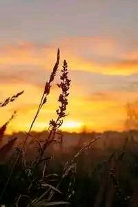 扎姆布劳尼德战胜对手，晋级淘汰赛