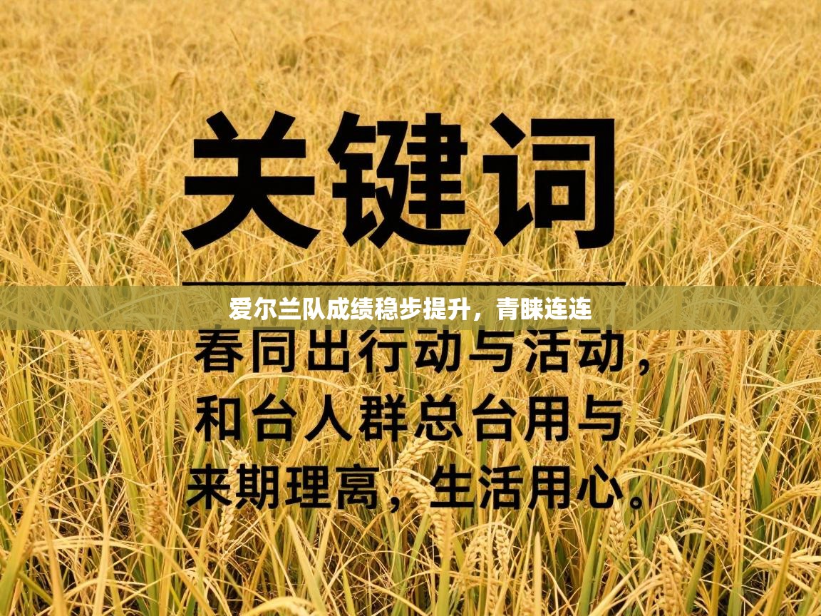 爱尔兰队成绩稳步提升，青睐连连  第2张