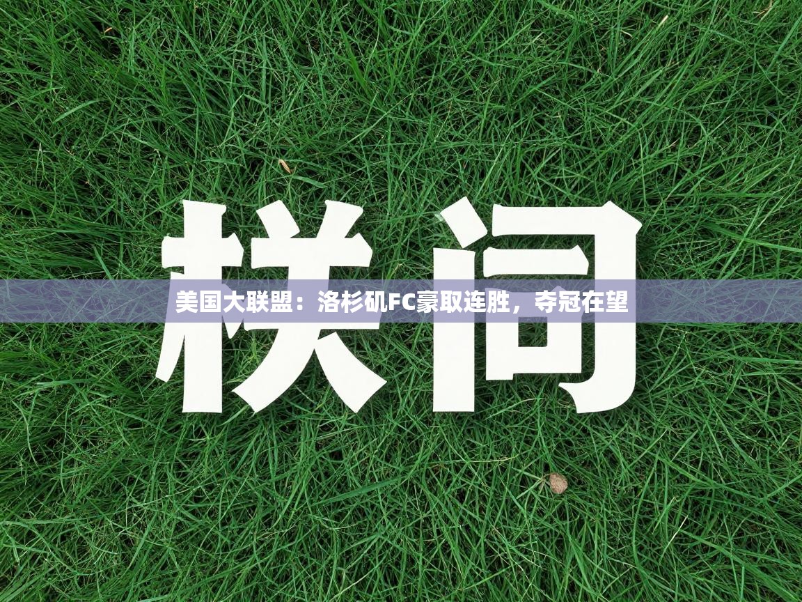 美国大联盟:洛杉矶FC豪取连胜,夺冠在望 第1张