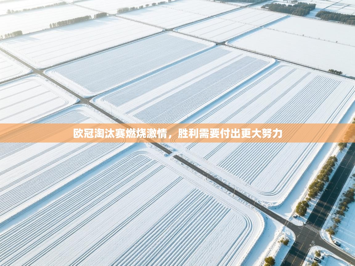 欧冠淘汰赛燃烧激情，胜利需要付出更大努力  第2张