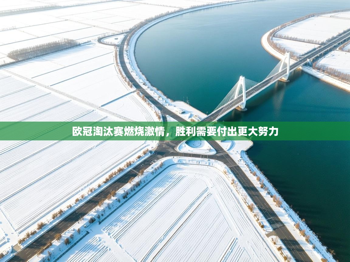 欧冠淘汰赛燃烧激情，胜利需要付出更大努力  第1张