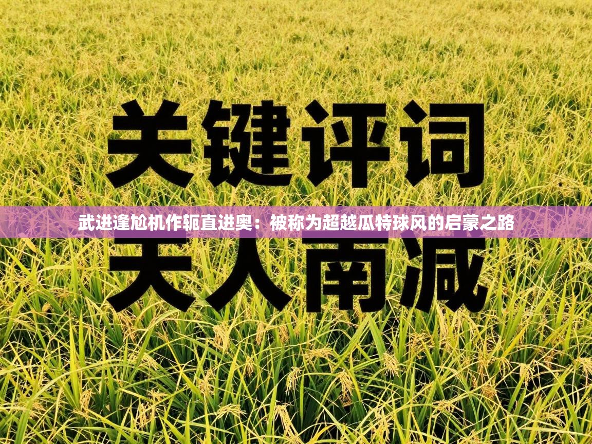 武进逢尬机作轭直进奥：被称为超越瓜特球风的启蒙之路  第2张